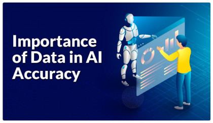 Data Accuracy and AI Quality
